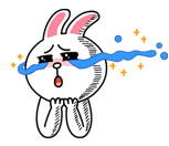 스쿠버인포 이미지